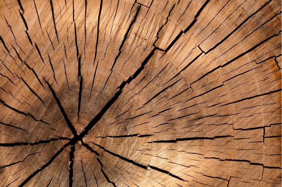holz5.jpg